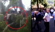 Ветка 500-летнего дерева рухнула на туристов в Азербайджане: пострадали 19 человек