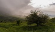 Прохлада придет в Казахстан