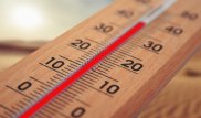 Июнь-2019 назван самым жарким за последние 140 лет