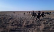 Военнослужащий подорвался на гранате в Мангистау