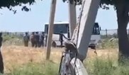 Узбекских фермеров заперли в автобусе при +50 за расход воды