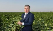 Мой народ должен жить лучше - президент Узбекистана
