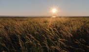 Сильная жара вернется в Казахстан