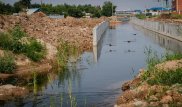 Катастрофой назвал аким ситуацию с рекой в Нур-Султане