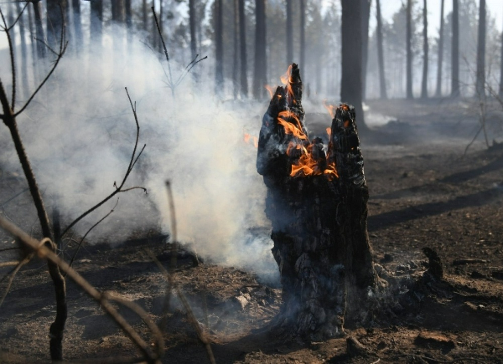 Из-за лесных пожаров режим ЧС введен в трех регионах Сибири