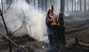 Из-за лесных пожаров режим ЧС введен в трех регионах Сибири