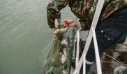 Токаев поручил пресечь деятельность ОПГ браконьеров на озере Маркаколь