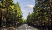 Приехавшего в Казахстан россиянина поразили чистота и цены на бензин