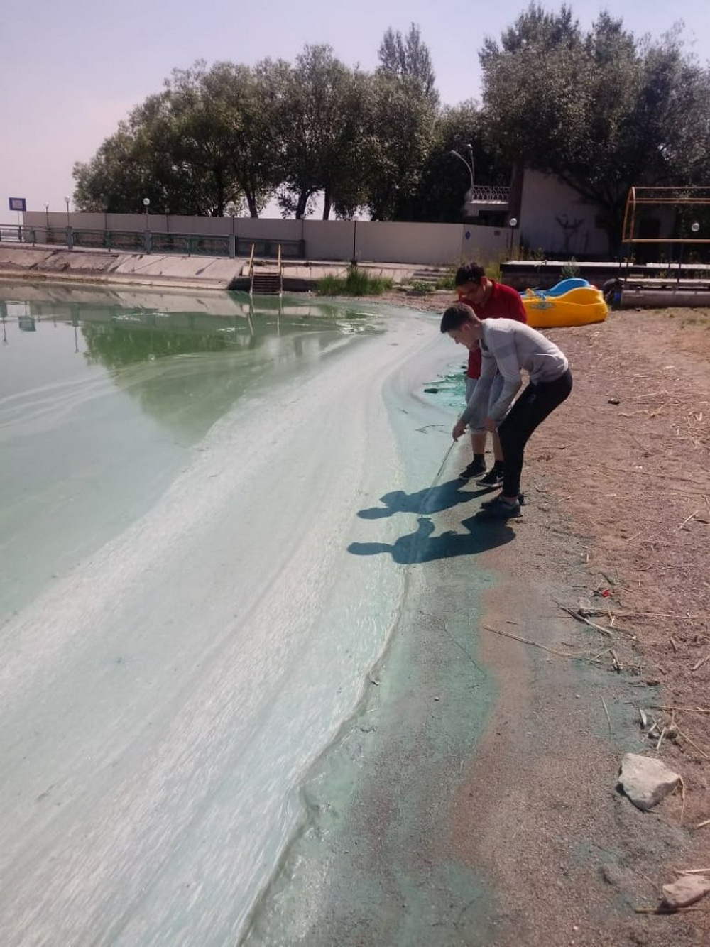 Вода стала зеленой на Самаркандском водохранилище в Темиртау