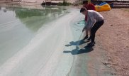 Вода стала зеленой на Самаркандском водохранилище в Темиртау
