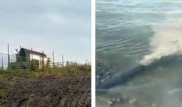 Сливавшую воду в Алаколь гостиницу оштрафуют