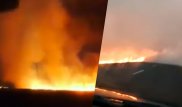 Крупный степной пожар тушили двое суток в Карагандинской области