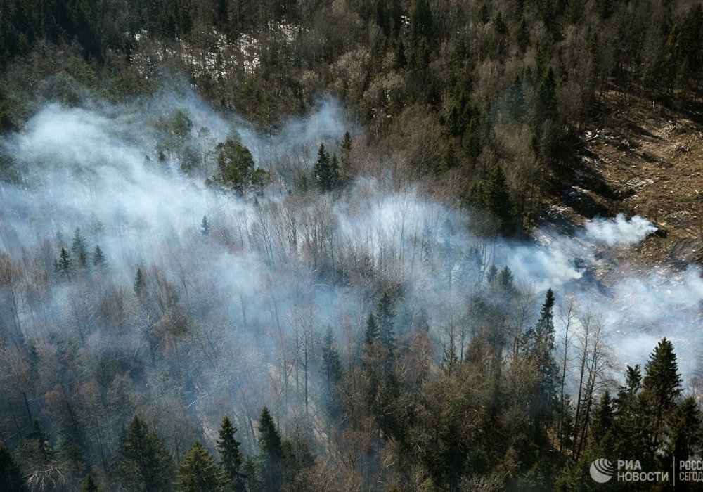 Самолет-амфибия, тушивший лесной пожар, разбился во Франции