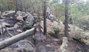 В Баянауле сутки тушили лесной пожар