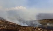 Степной пожар в Алматинской области: погибли 3 человека
