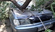 Из-за урагана тысячи людей остались без света и воды в ЗКО