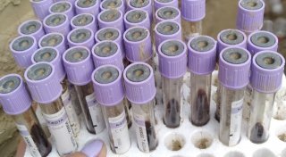 Свалку медотходов и пробирки с кровью нашли в Мангистау