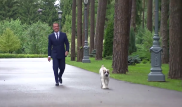 Медведев показал на видео подарок президента Туркменистана