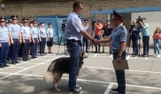 Собаке, спасшей женщину от насилия, подарили корм