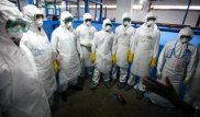 Новую страшную эпидемию предрекли человечеству