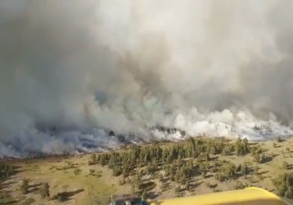 Пожар в национальном парке в Карагандинской области. Фото Tengrinews.kz