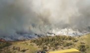 ЧС объявили из-за пожара в национальном парке Карагандинской области
