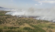 Появилось видео лесного пожара в Карагандинской области