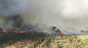 Нацпарк Каркаралинска горит вторые сутки. К тушению подключат Нацгвардию