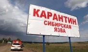 Сибирская язва в Акмолинской области: 5 сельчан госпитализированы