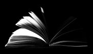 Иностранца наказали за книгу в СКО