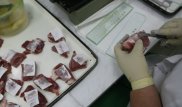 Специалисты оценили угрозу сибирской язвы для Нур-Султана
