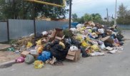 Крысы бегают по Аксаю из-за гор мусора
