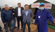 Вспышку сибирской язвы связали с дефицитом ветеринаров