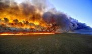 "Легкие планеты" в огне. Пожары в лесах Бразилии бьют многолетние рекорды