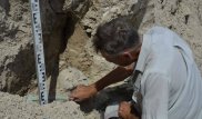 Их убили из лука: павлодарские археологи нашли скелеты древних рудокопов