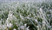 Заморозки начнутся в трех областях Казахстана