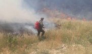 Гора у Кенсайского кладбища горела в Алматы