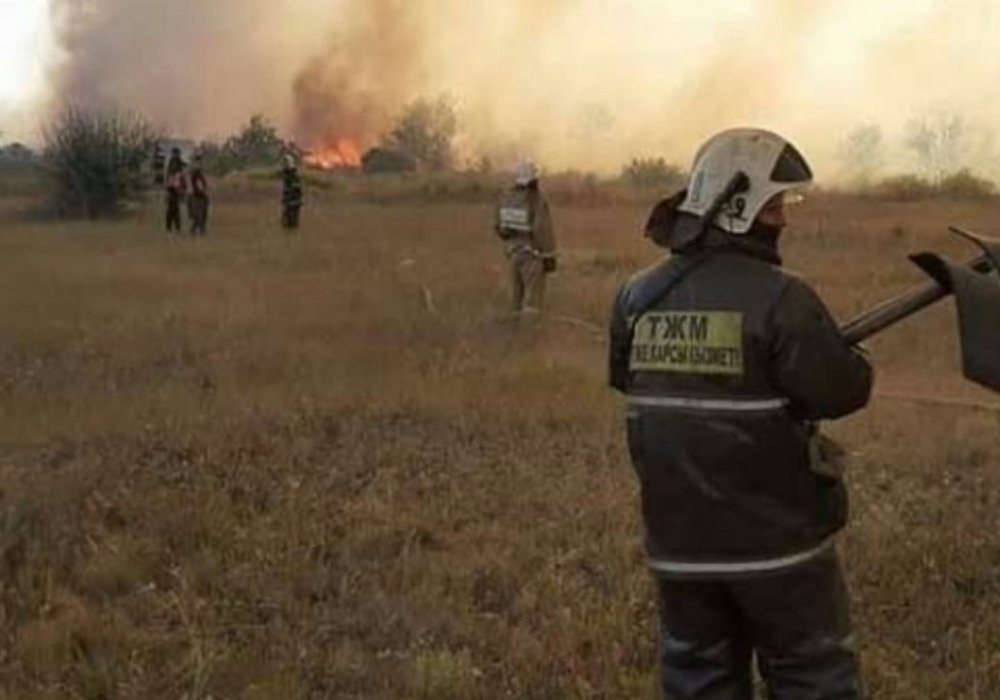 Крупный пожар в Темиртау: сгорели более 700 дачных домов