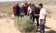 Степная трава может стать туристическим брендом Атырауской области