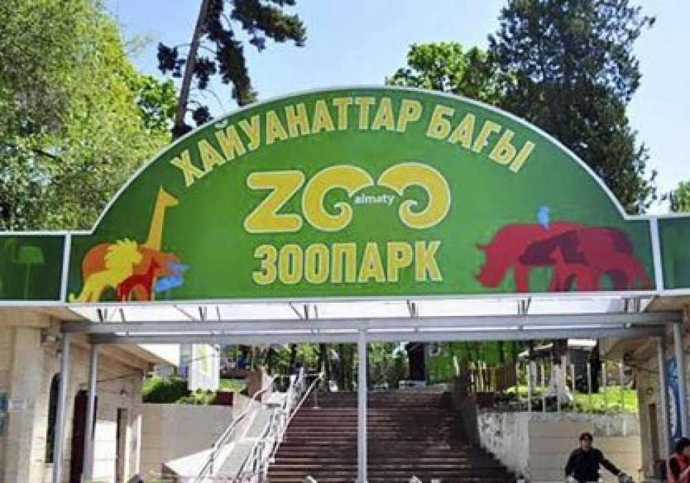 Фото из официального аккаунта зоопарка Алматы в соцсетях