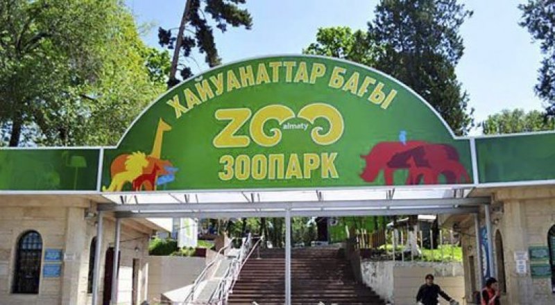 Фото из официального аккаунта зоопарка Алматы в соцсетях