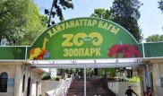 Перед зоопарком Алматы извинились за "расстрелянного котенка"