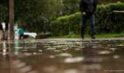 Дожди пообещали синоптики в выходные