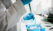 14 подозреваемых в изнасиловании сдали тест на отцовство