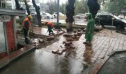 Ливень в Алматы: куда звонить при подтоплениях