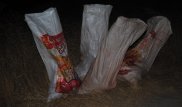 Охотников за золотом задержали в Жамбылской области