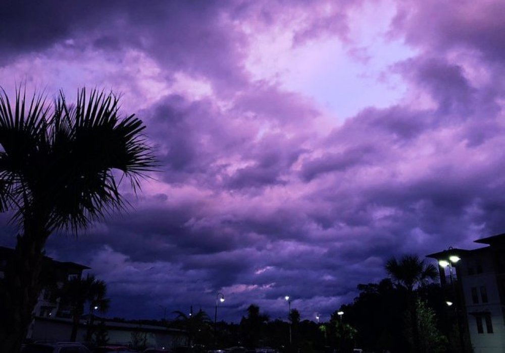 Пурпурно-фиолетовый закат во Флориде после урагана "Дориан". © Twitter