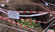 Зараженные арбузы закопали в Нур-Султане
