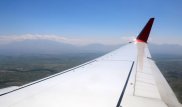 Баклан врезался в самолет, следовавший из Алматы в Лиссабон