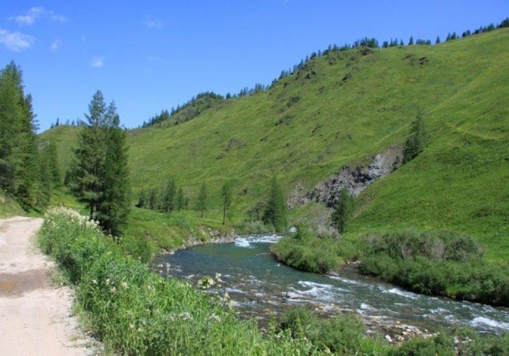 Курчум казахстан фото